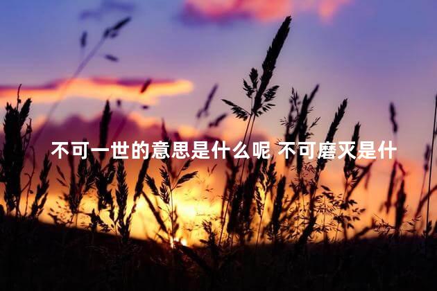 不可一世的意思是什么呢 不可磨灭是什么意思